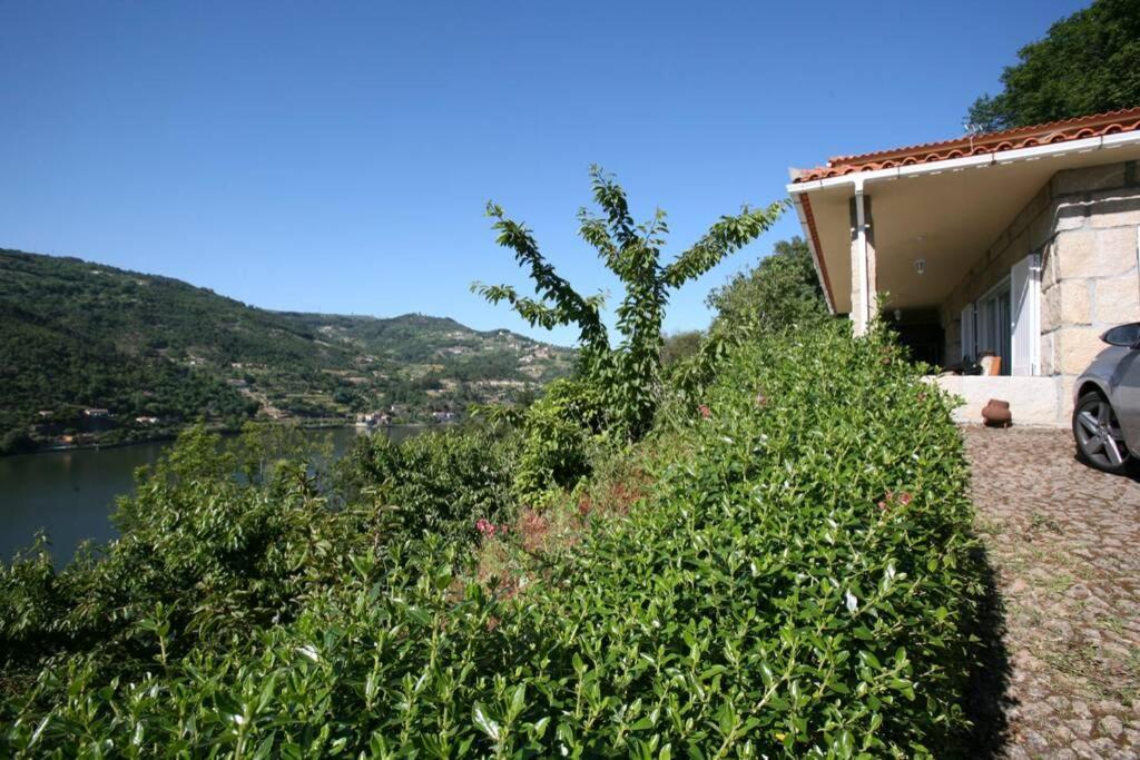 Douro Valley - Casa Do Campo Resende Covelas  Luaran gambar